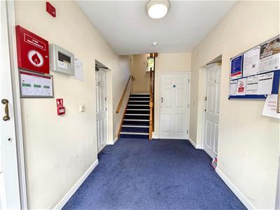 Picture 11